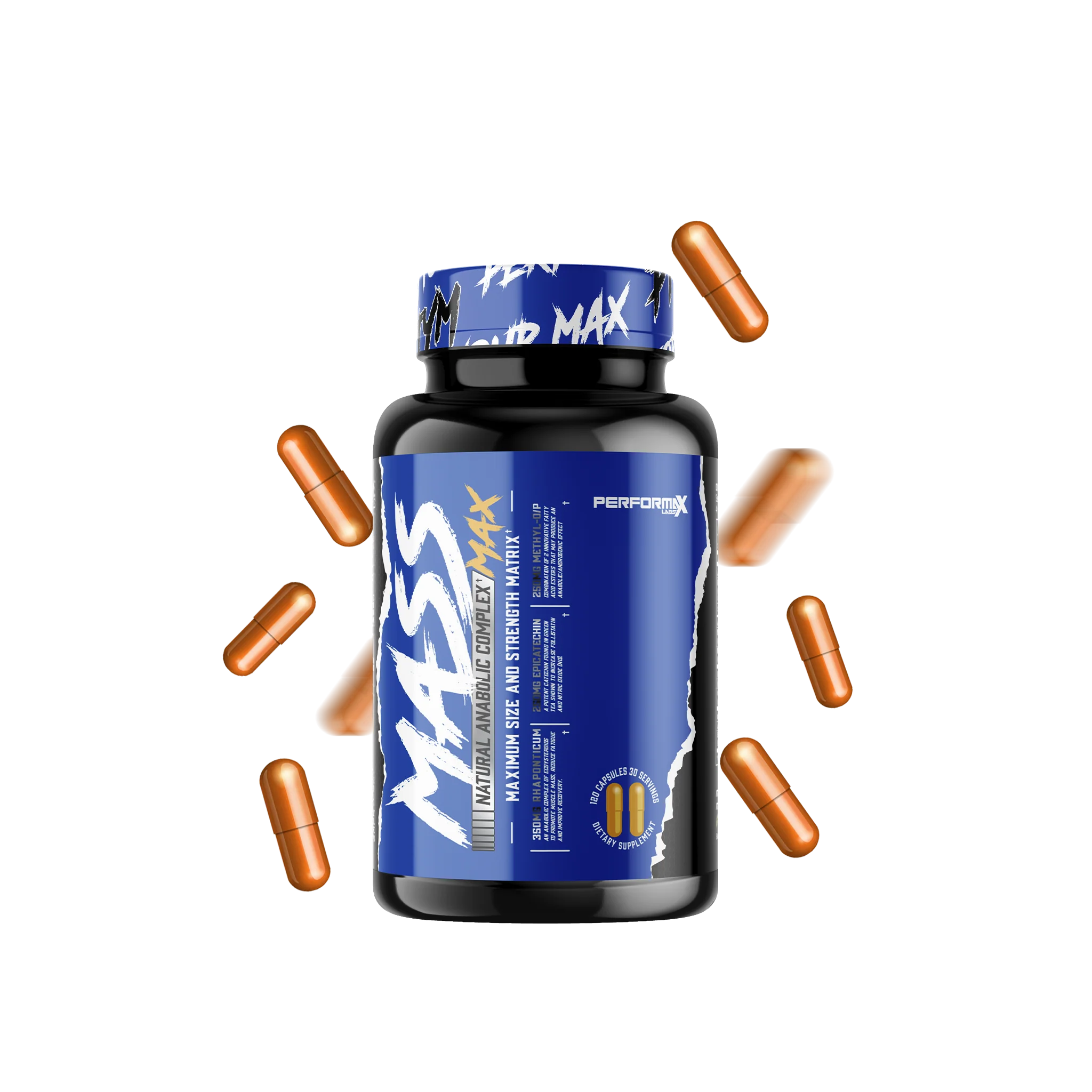 Muscle Building